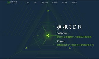 云杉網(wǎng)絡完成1100萬美元B輪融資，引領國內SDN技術服務新浪潮